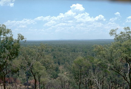 Ka Ka Mundi, Carnarvon National Park - Sydney Tourism 1