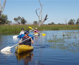 Marsh Meanders - Sydney Tourism 0