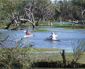 Marsh Meanders - Sydney Tourism 2
