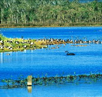 Hasties Swamp National Park - Sydney Tourism