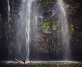 Ellinjaa Falls - Sydney Tourism 0