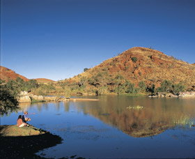 Chinaman's Pool And Picnic Area - Sydney Tourism 1