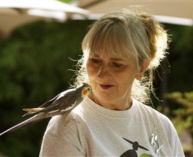 Barraport ACT Sydney Tourism