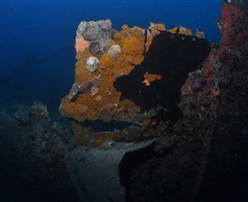 Lady Bowen Dive Site - Sydney Tourism 0