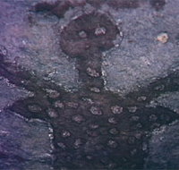 Quinkan Reserves Ancient Rock Art - Sydney Tourism