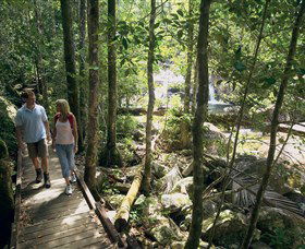 Eungella National Park - Sydney Tourism 2