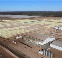 Southern Cotton Gin - Sydney Tourism