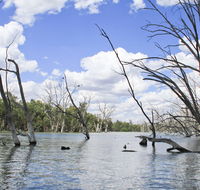 Murrumbidgee Valley National Park - Sydney Tourism