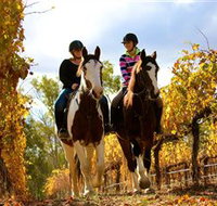 Billabong Ranch - Sydney Tourism