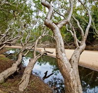 Oyala Thumotang National Park CYPAL