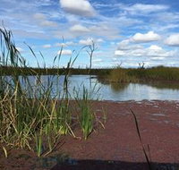 Gwydir Wetlands - Sydney Tourism