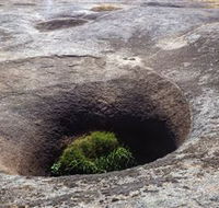 Blowhole and the Rocks - Sydney Tourism