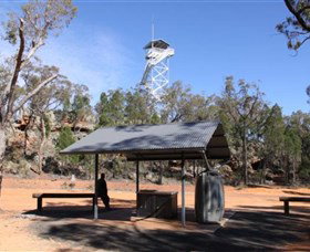 Pilliga Forest Lookout Tower - Sydney Tourism 0