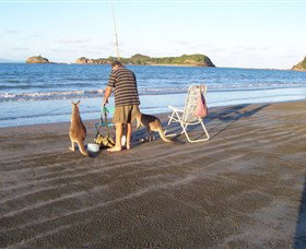 Mackay Harbour QLD Sydney Tourism