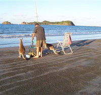 Cape Hillsborough National Park - Sydney Tourism