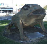 Big Cane Toad - Sydney Tourism