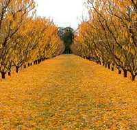 Sun Country on the Murray Farm Gate Trail - Sydney Tourism