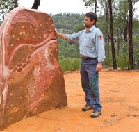 Sculptures in the Scrub walking track