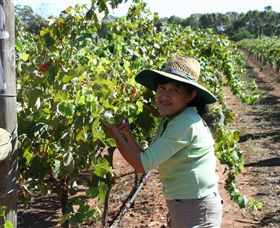 Domaine Asmara - Sydney Tourism 6