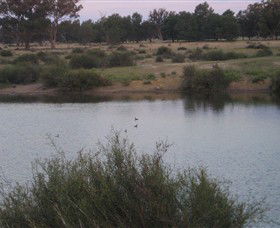 Savernake Day Tours - Sydney Tourism 7