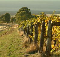 Captains Creek Organic Wines - Sydney Tourism