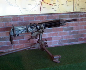 Woodpecker Gun - Sydney Tourism 0