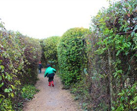 The Tangled Maze & Mistydowns Nursery - Sydney Tourism 1
