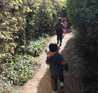 The Tangled Maze  Mistydowns Nursery - Sydney Tourism