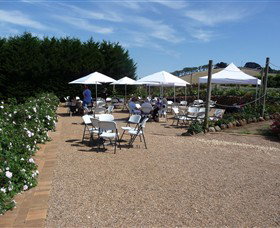 The Tangled Maze & Mistydowns Nursery - Sydney Tourism 6