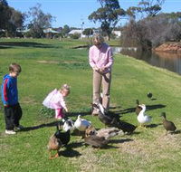 Roy Little Park Merredin - Sydney Tourism