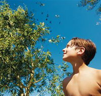 Birdwatching on Keswick Island - Sydney Tourism