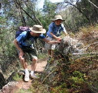 Mount Arthur Reserve - Sydney Tourism