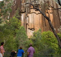Sawn Rocks walking track - Sydney Tourism