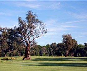 Corowa Golf Club - Sydney Tourism 5