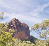 Green Camp - Sydney Tourism