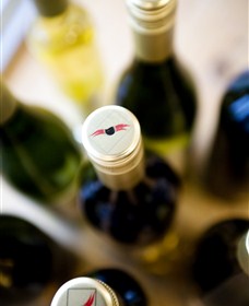 Charles Sturt University Winery Wagga Wagga - Sydney Tourism 2