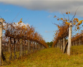Charles Sturt University Winery Wagga Wagga - Sydney Tourism 3