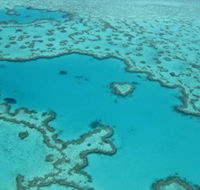 Heart Reef