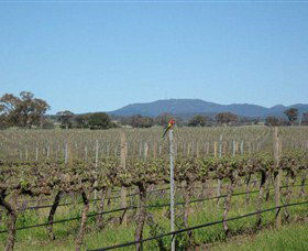 Monument Vineyard - Sydney Tourism 1