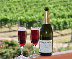 Gisborne Peak Winery - Sydney Tourism 2