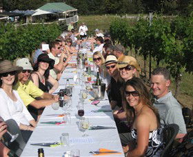 Gisborne Peak Winery - Sydney Tourism 7