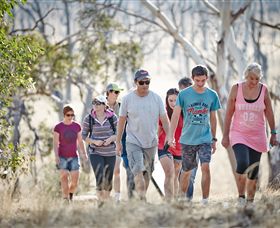 Winton Wetlands Reserve - Sydney Tourism 0