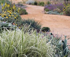 Perennialle Plants Nursery And Garden - Sydney Tourism 1
