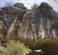 Borenore Karst Conservation Reserve - Sydney Tourism
