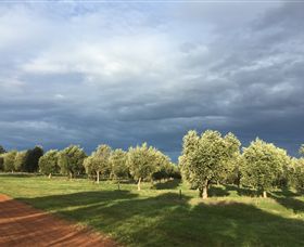 Teesdale VIC Sydney Tourism