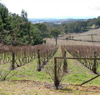 Habitat Vineyard - Sydney Tourism