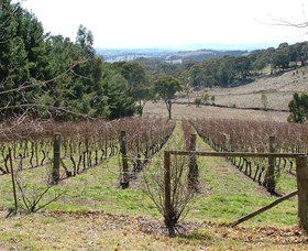Habitat Vineyard - Sydney Tourism 0