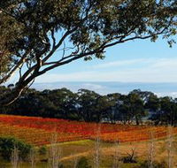 Bloodwood Estate - Sydney Tourism
