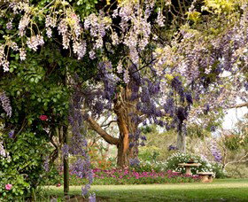 Wombat Heights Orchard And Grog Shed - Sydney Tourism 2