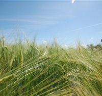 150 Degrees East Meridian - Sydney Tourism